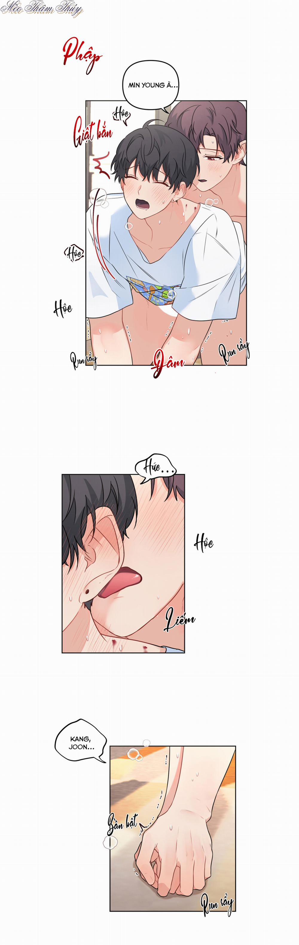 Máu Và Tình Yêu 50 trang 14