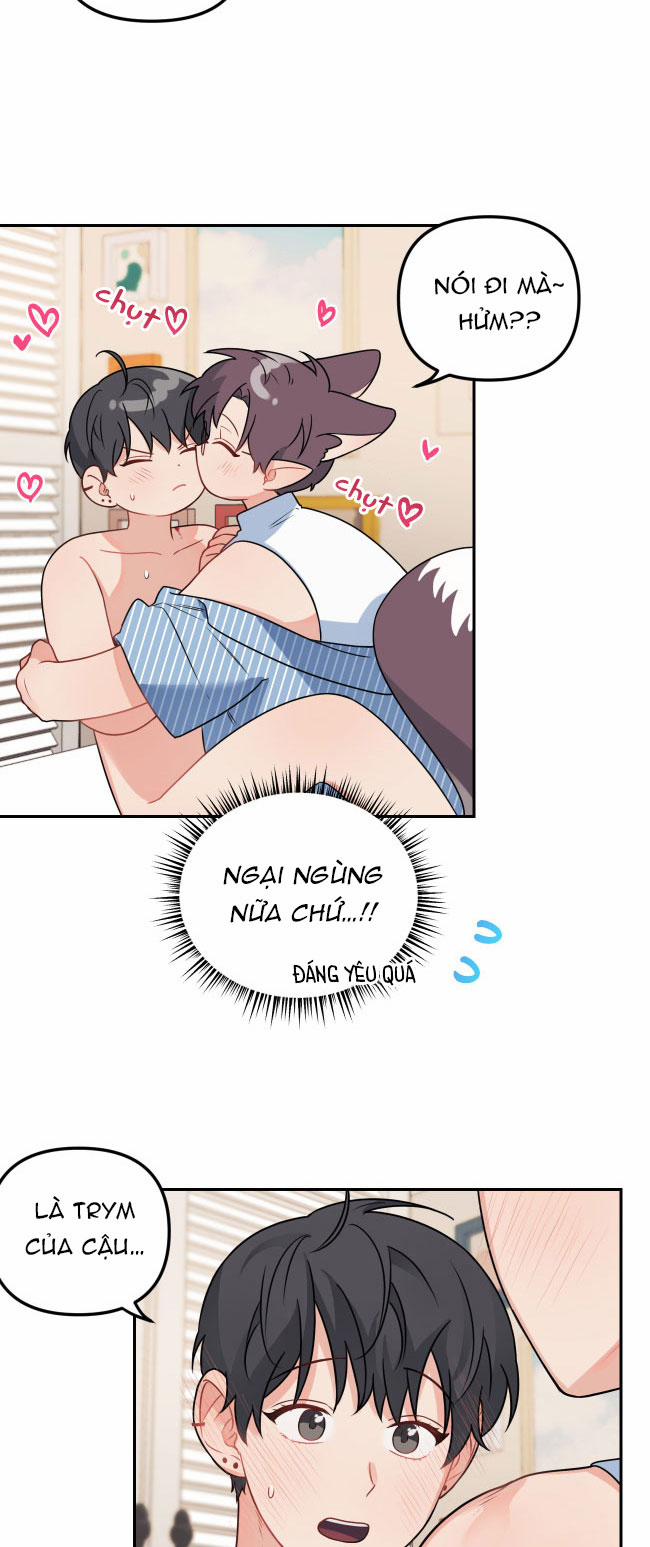 Máu Và Tình Yêu 61 trang 28