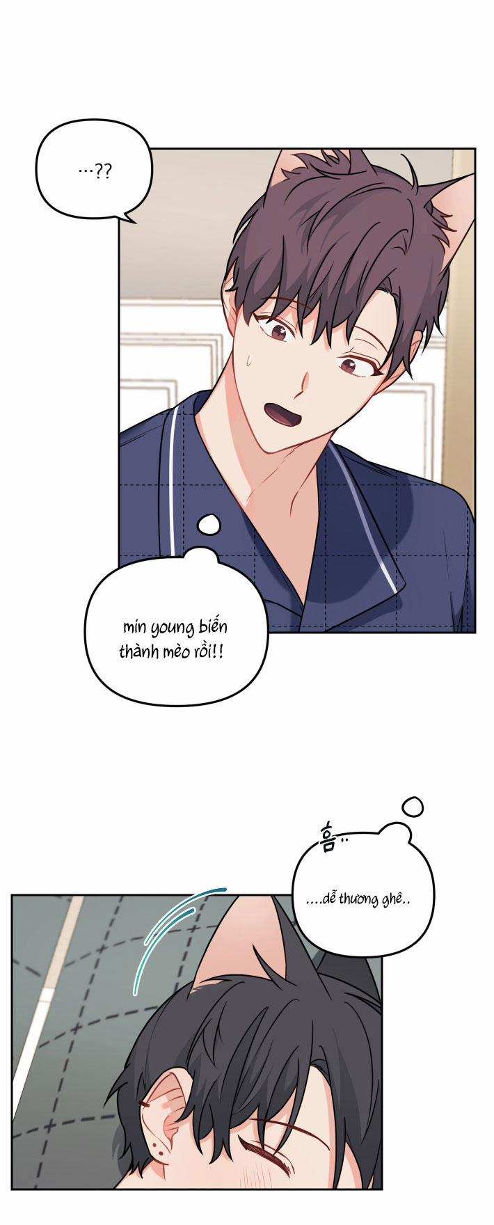 Máu Và Tình Yêu 64 trang 4