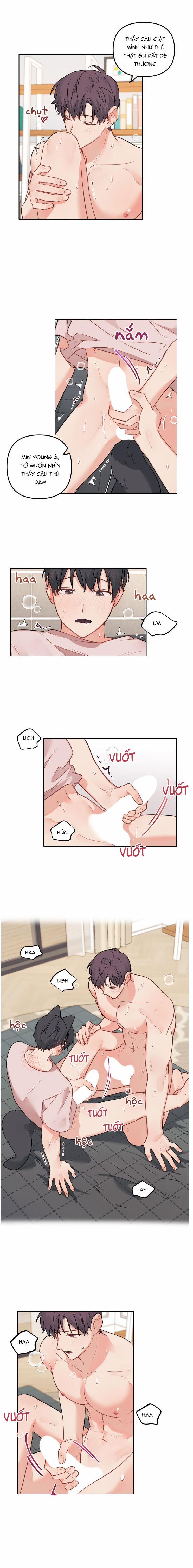 Máu Và Tình Yêu 65 trang 7