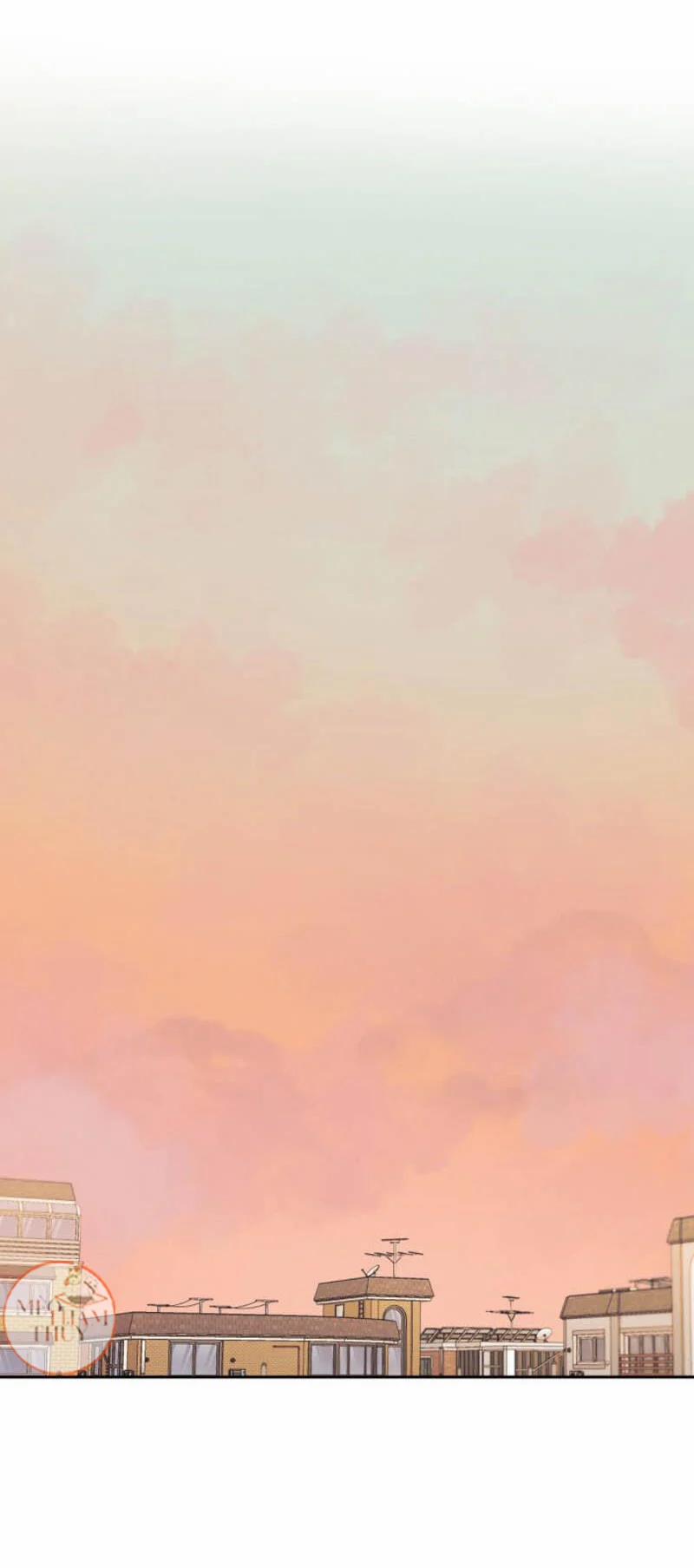 Máu Và Tình Yêu 66 trang 23