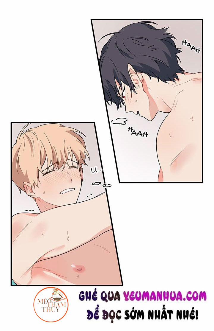 Máu Và Tình Yêu 8 trang 12