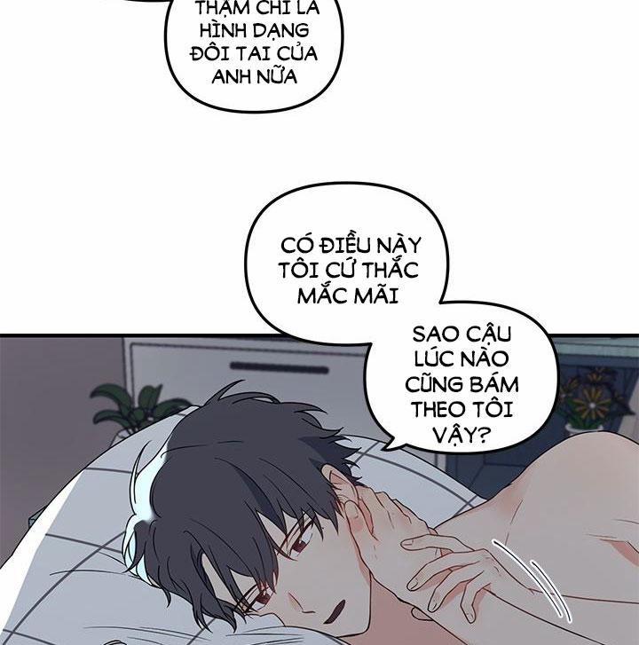 Máu Và Tình Yêu 8 trang 39