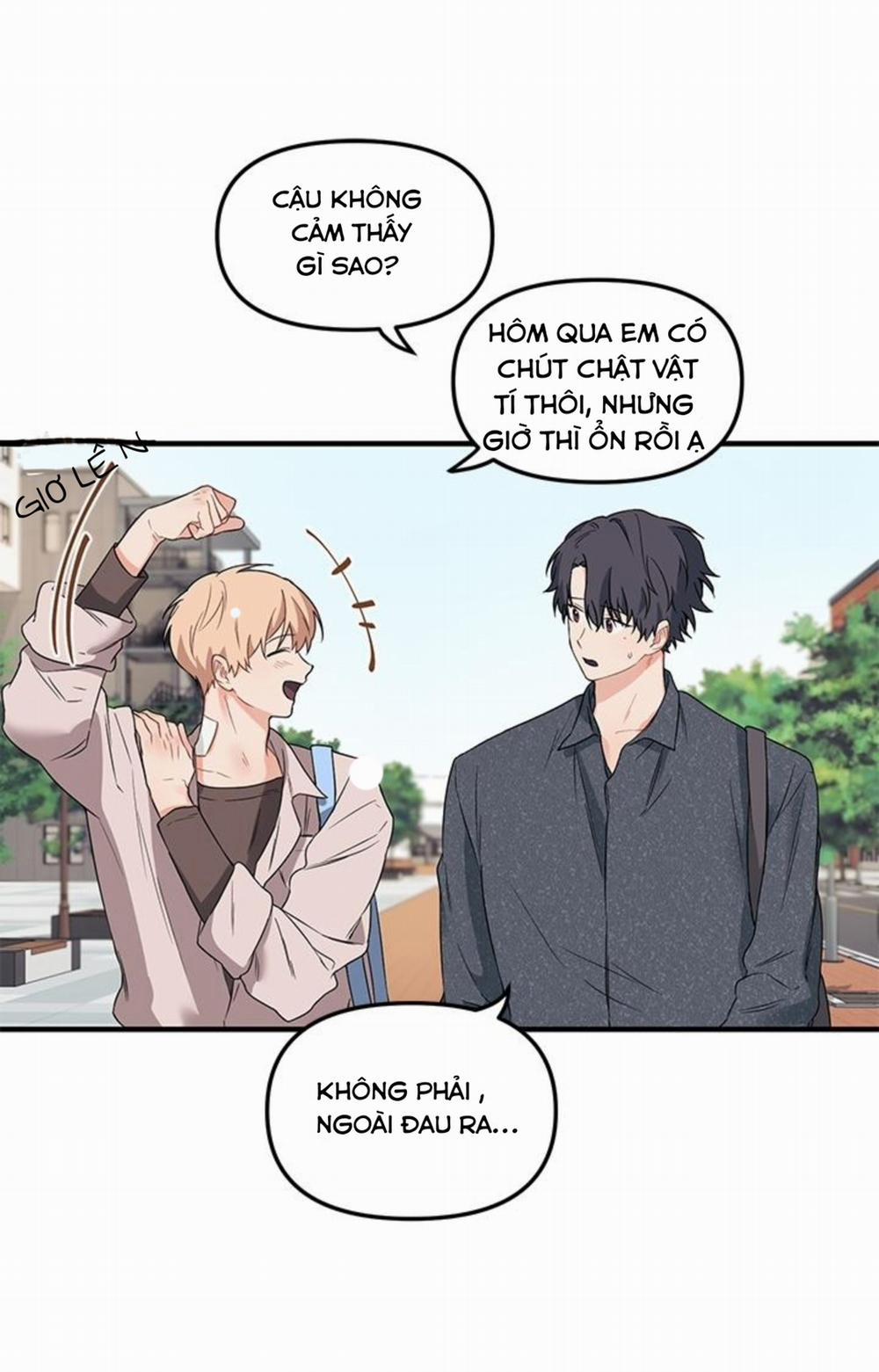 Máu Và Tình Yêu 9 trang 52