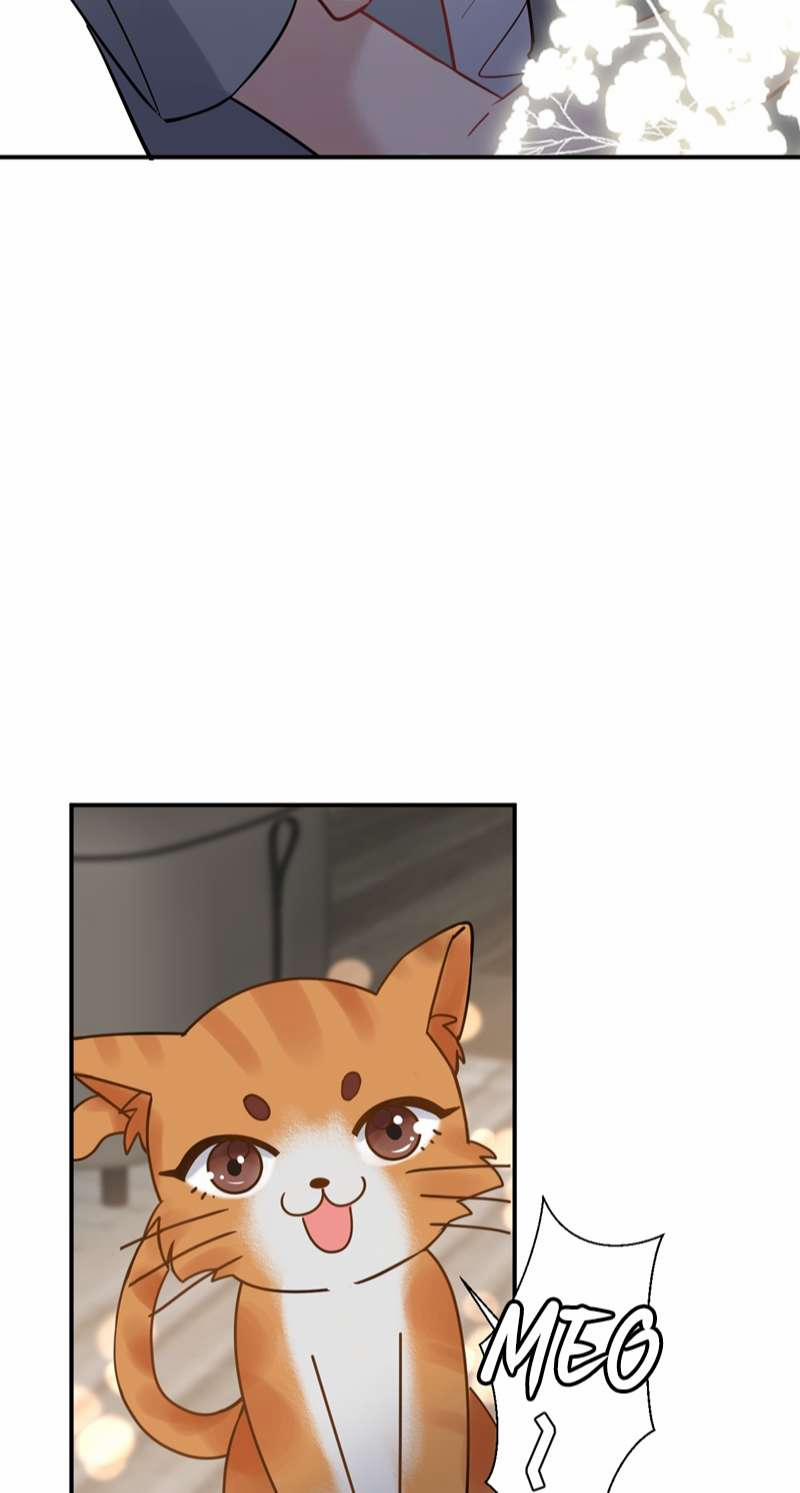 Máy Bay Giấy 108 trang 11