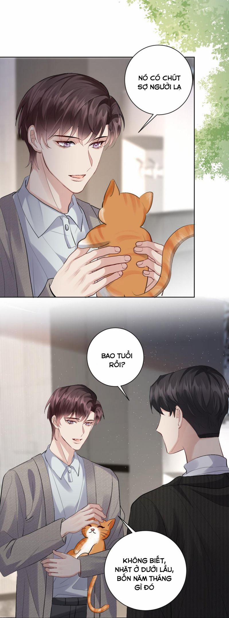 Máy Bay Giấy 85 trang 11