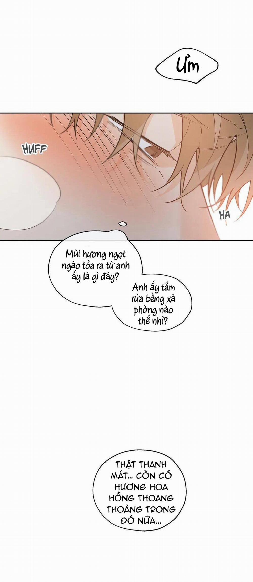 MAY MẮN NƠI THIÊN ĐƯỜNG 29 trang 15