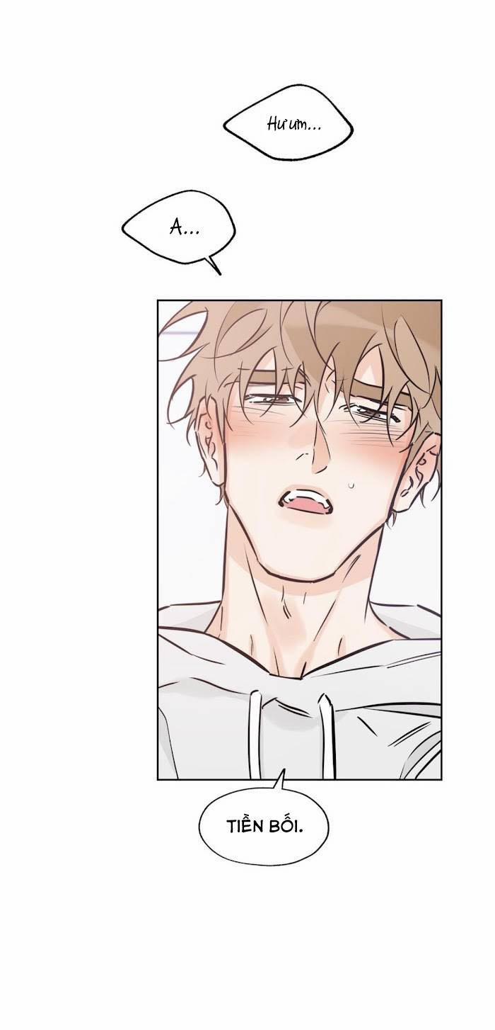 MAY MẮN NƠI THIÊN ĐƯỜNG 39 trang 17