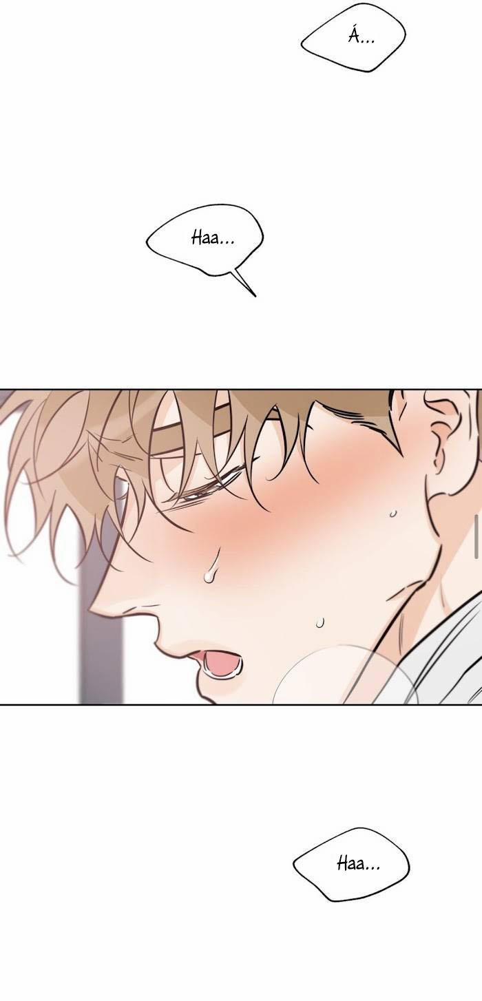 MAY MẮN NƠI THIÊN ĐƯỜNG 39 trang 26