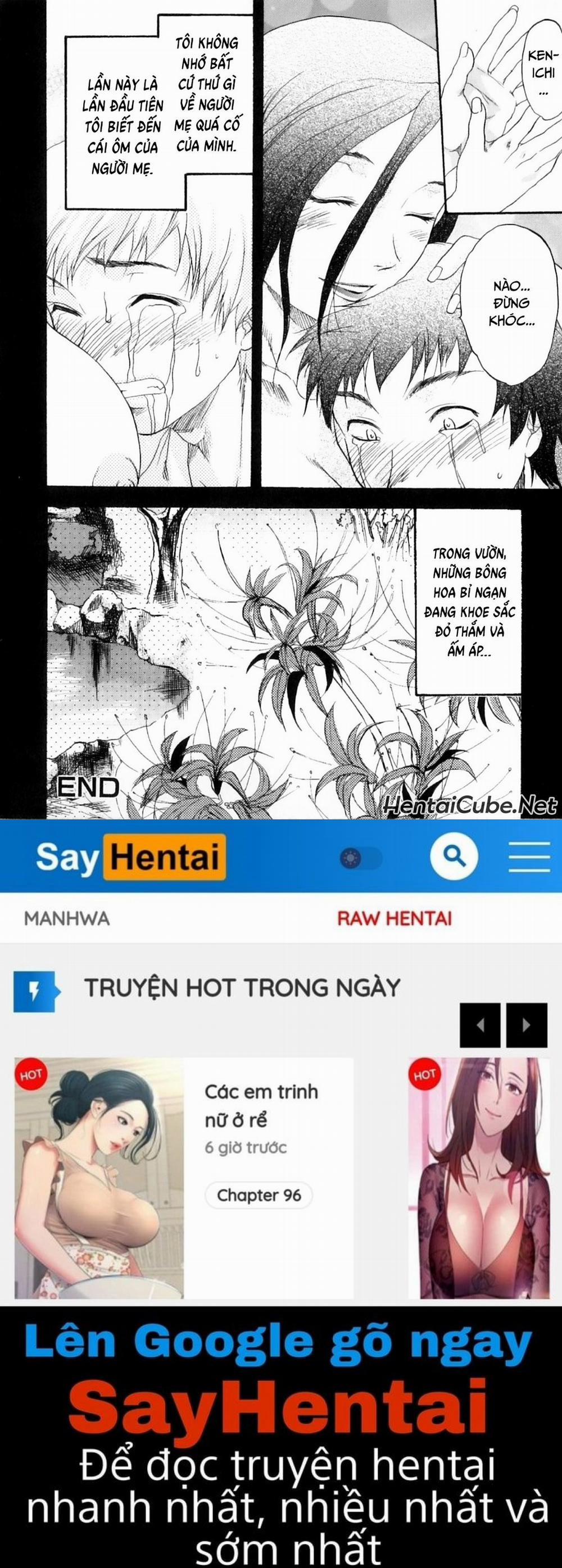 Mẹ ướt đẫm rồi 7 0 Hoa bỉ ngạn trang 15