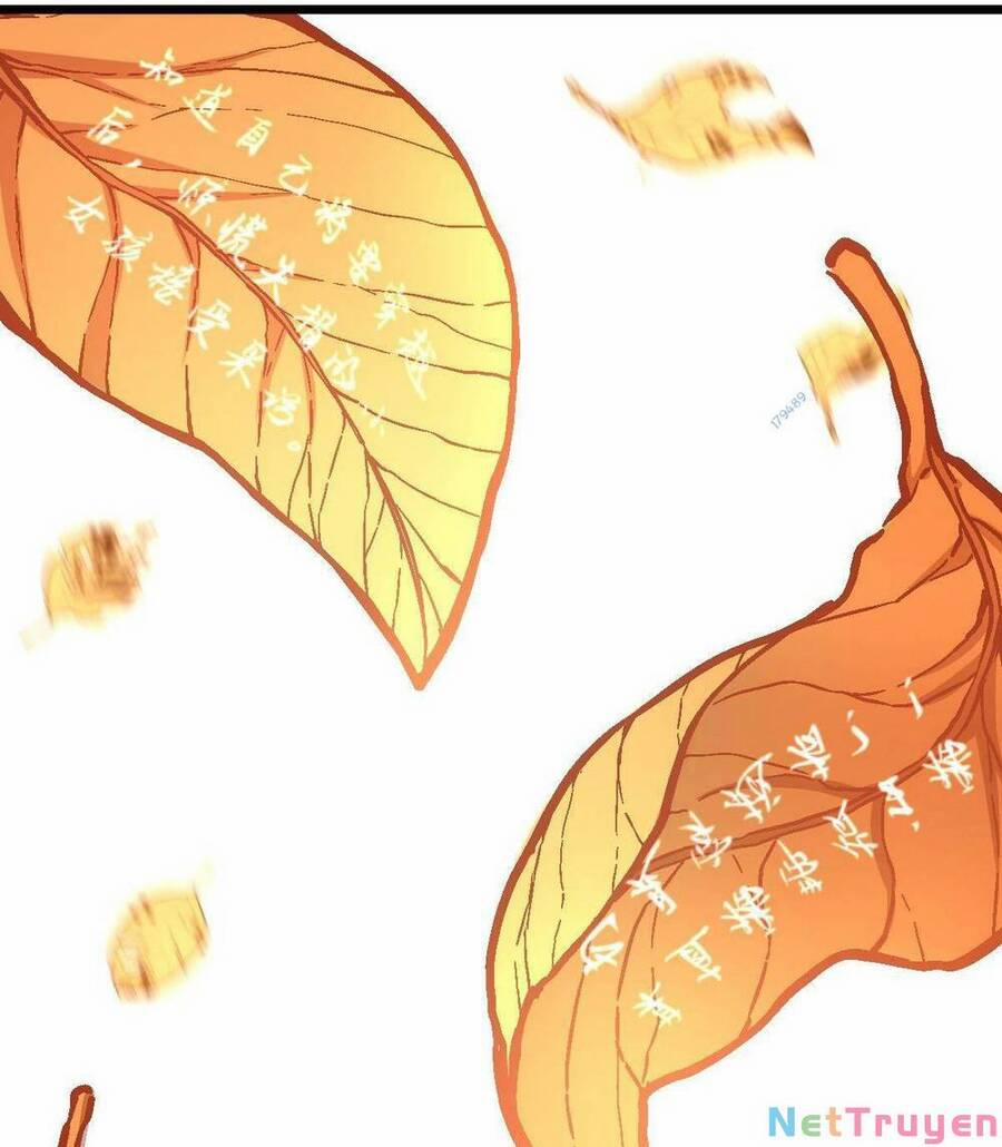 Mệnh Danh Thuật Của Bóng Tối 11 trang 2