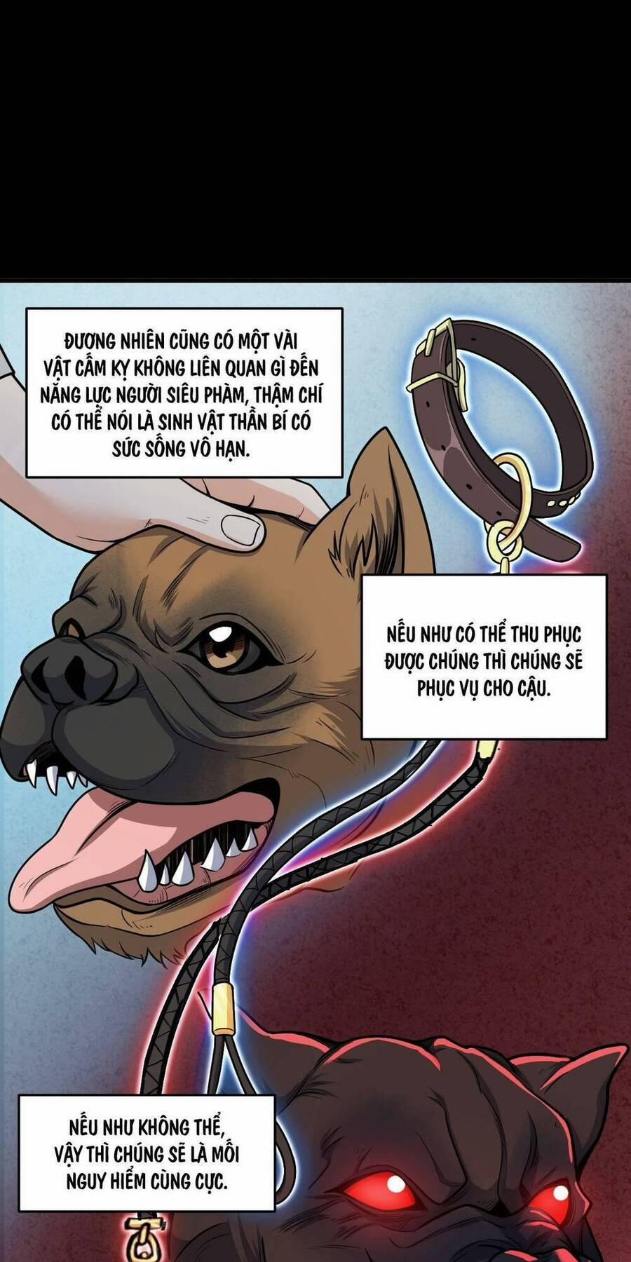 Mệnh Danh Thuật Của Bóng Tối 28 trang 29