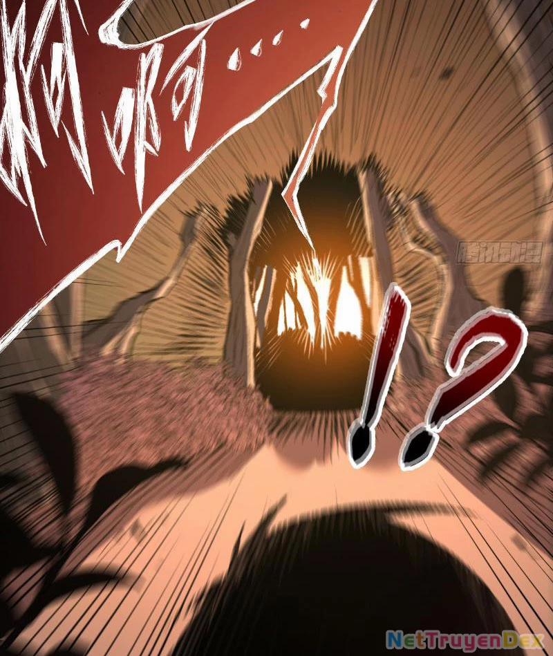 Mệnh Luân Chi Chủ! Khi Dị Biến Giáng Lâm Nhân Gian! 2 trang 49