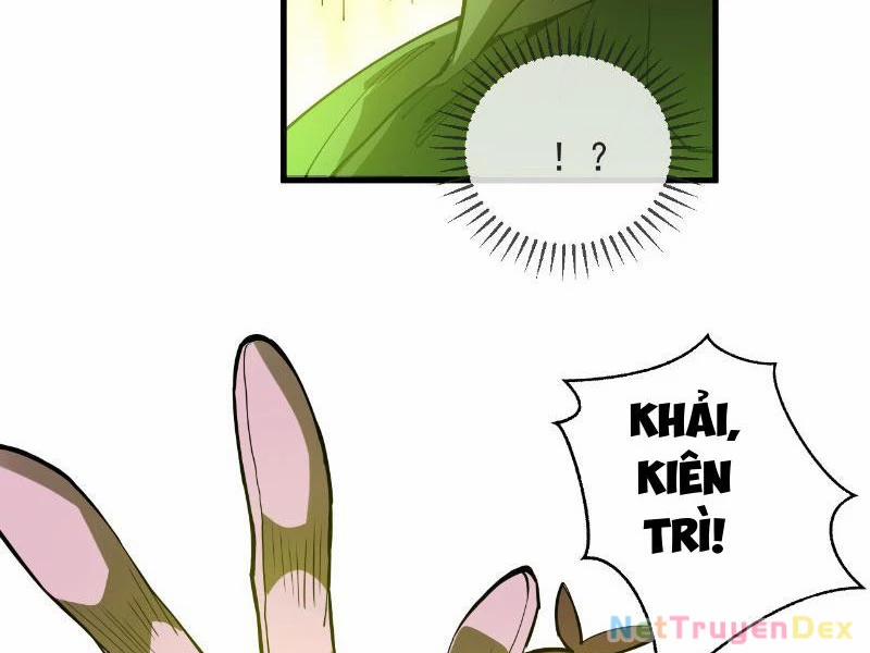 Mệnh Luân Chi Chủ! Khi Dị Biến Giáng Lâm Nhân Gian! 5 trang 19