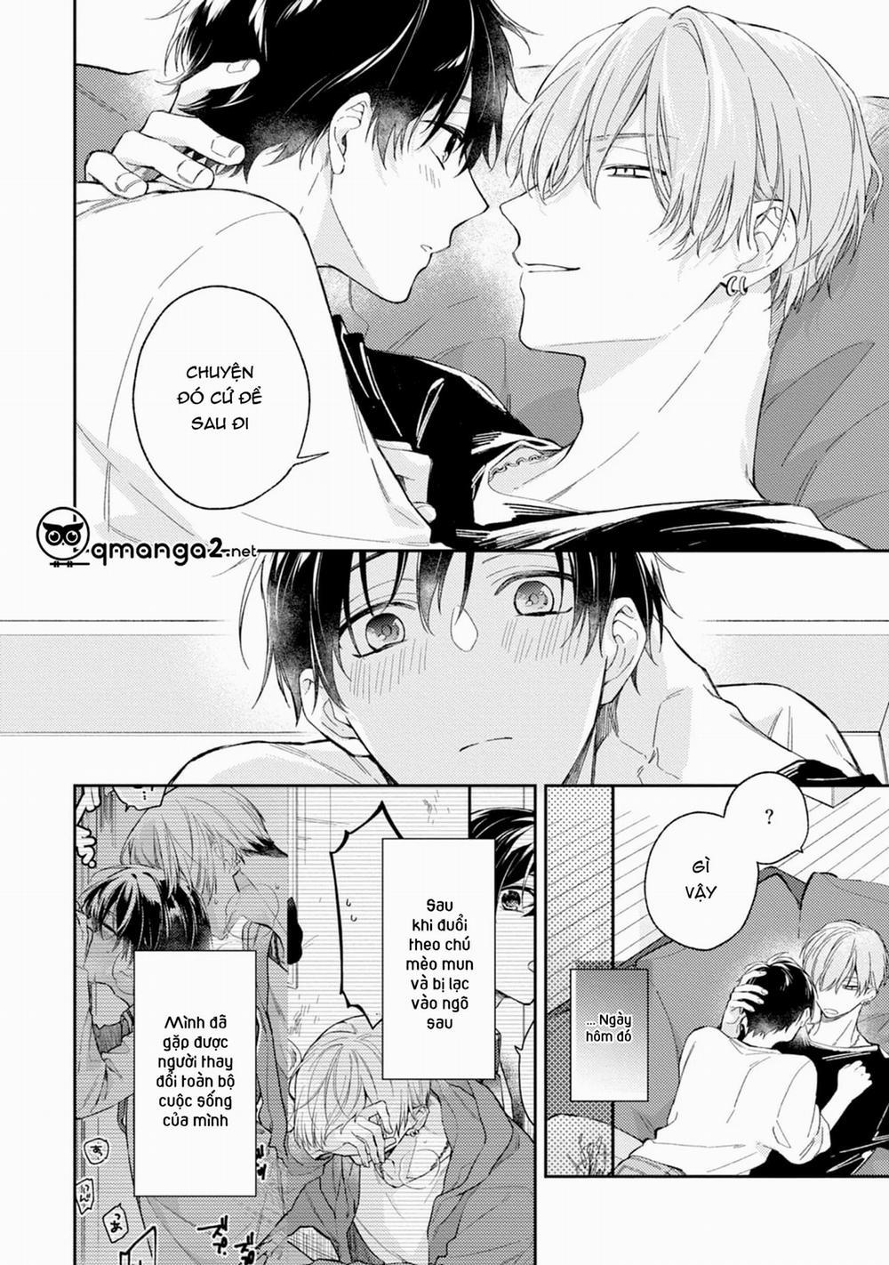 Mèo Con Ở Ngõ Sau 10 trang 29