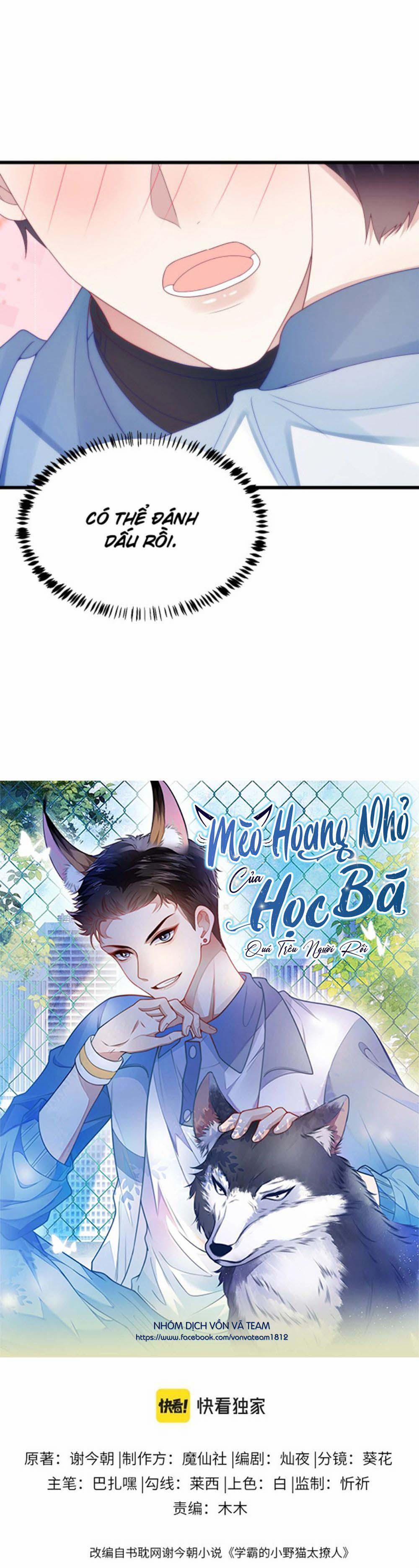 Mèo Hoang Nhỏ Của Học Bá Quá Trêu Người (END) 26 trang 1