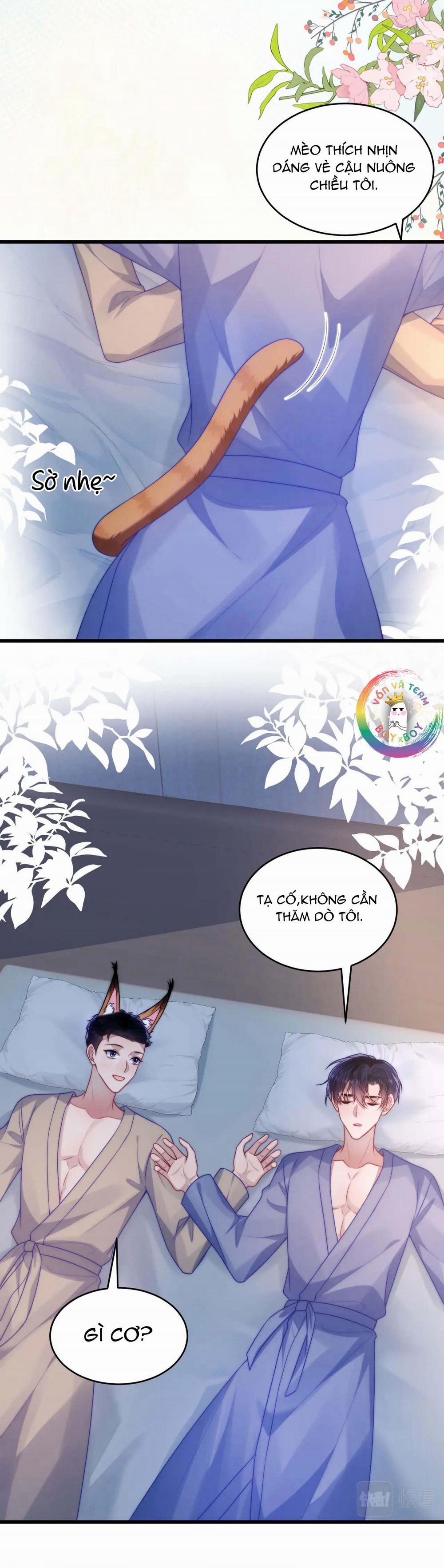 Mèo Hoang Nhỏ Của Học Bá Quá Trêu Người (END) 63 trang 2