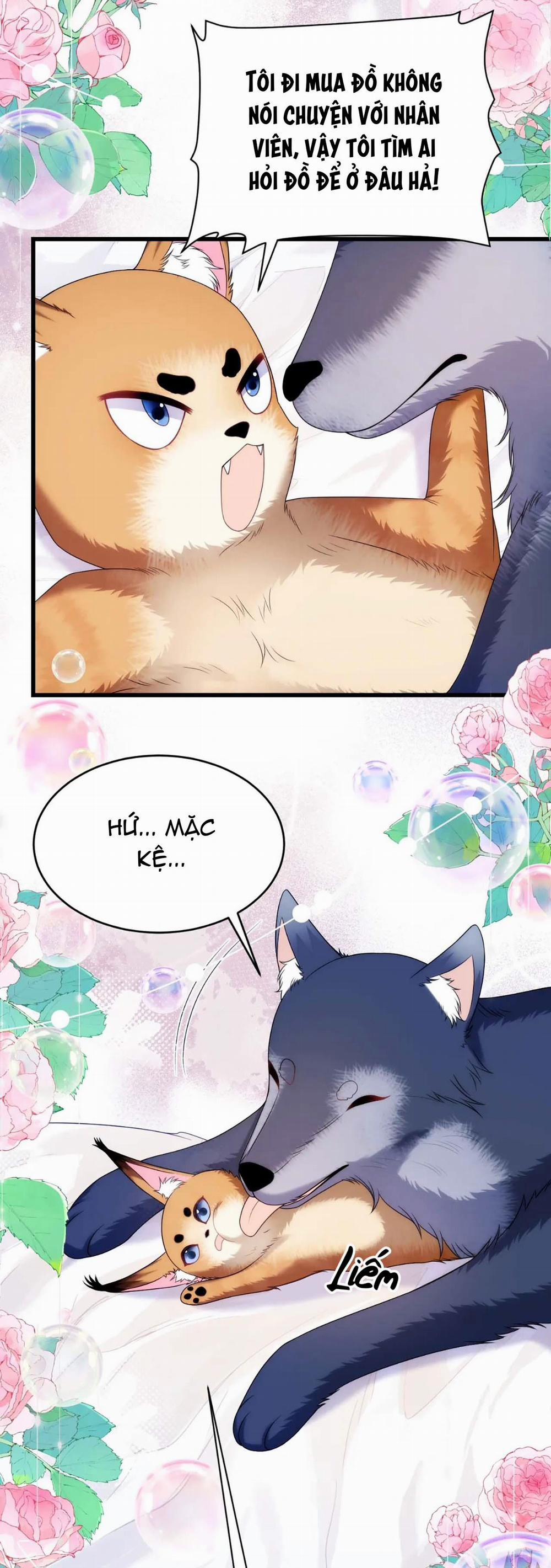 Mèo Hoang Nhỏ Của Học Bá Quá Trêu Người (END) 70 trang 4