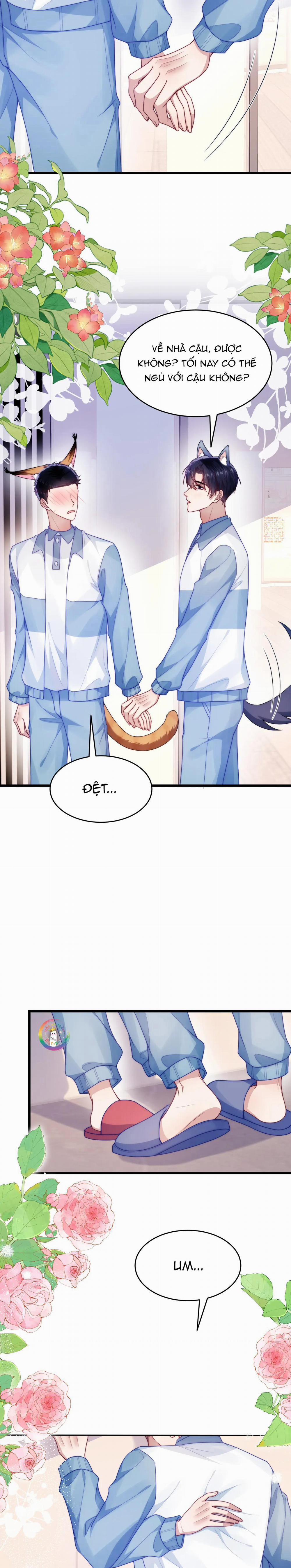 Mèo Hoang Nhỏ Của Học Bá Quá Trêu Người (END) 77 trang 7