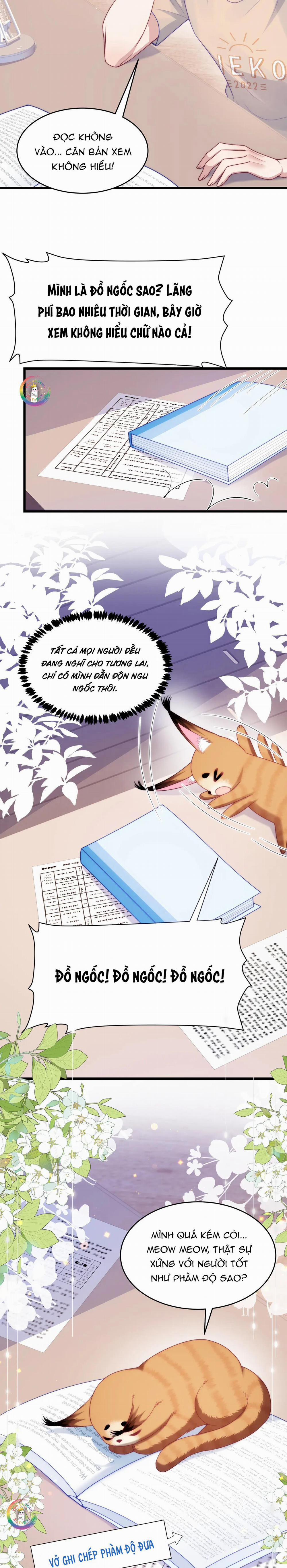 Mèo Hoang Nhỏ Của Học Bá Quá Trêu Người (END) 78 trang 10