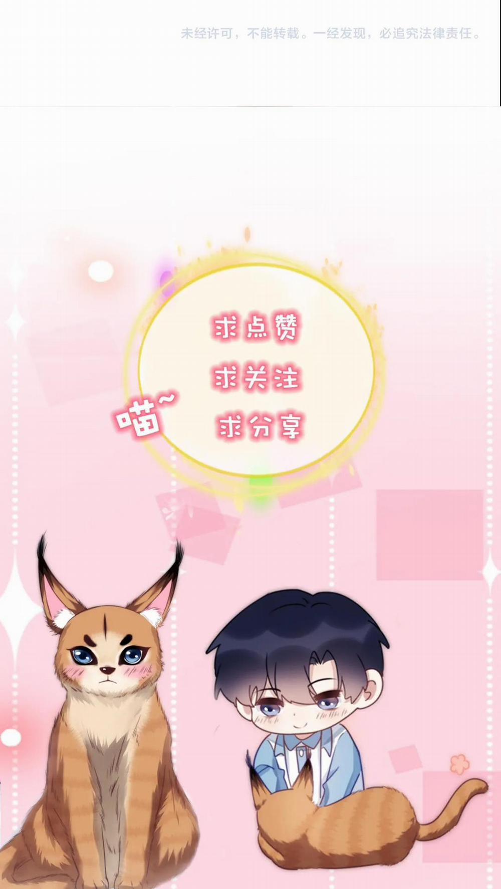 Mèo Hoang Nhỏ Của Học Bá Quá Trêu Người (END) 80 trang 12