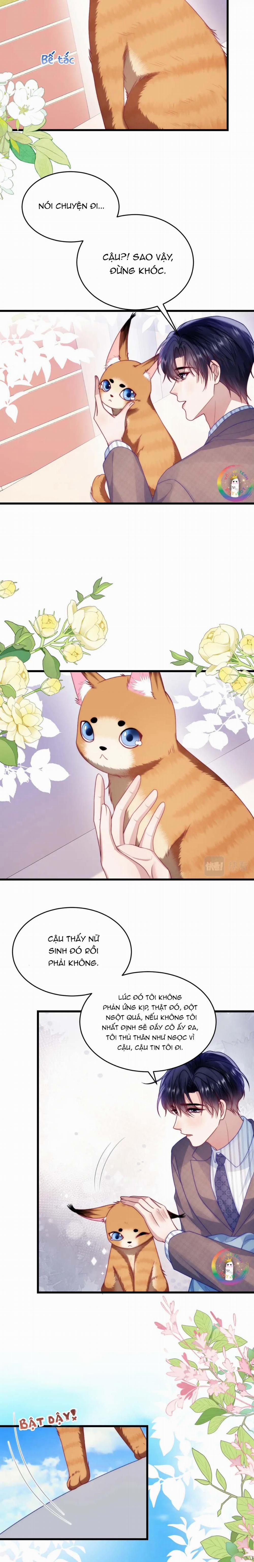 Mèo Hoang Nhỏ Của Học Bá Quá Trêu Người (END) 80 trang 5