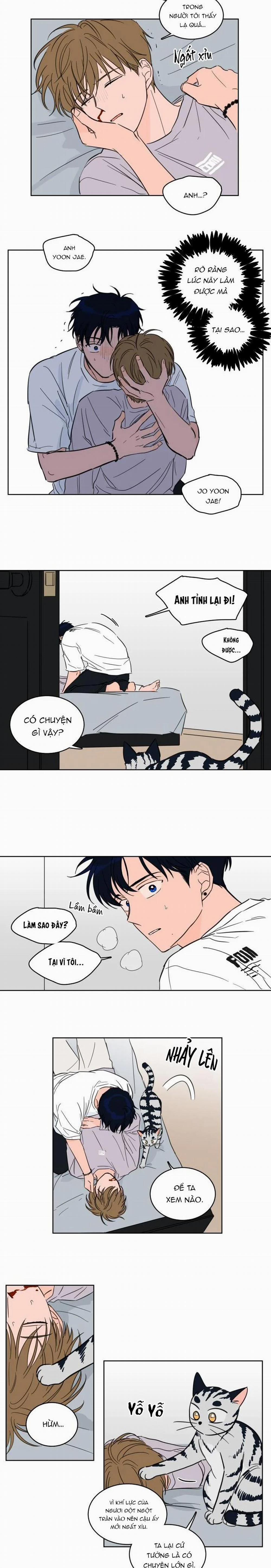 Mẹo Thuần Hóa Hổ 19 trang 4