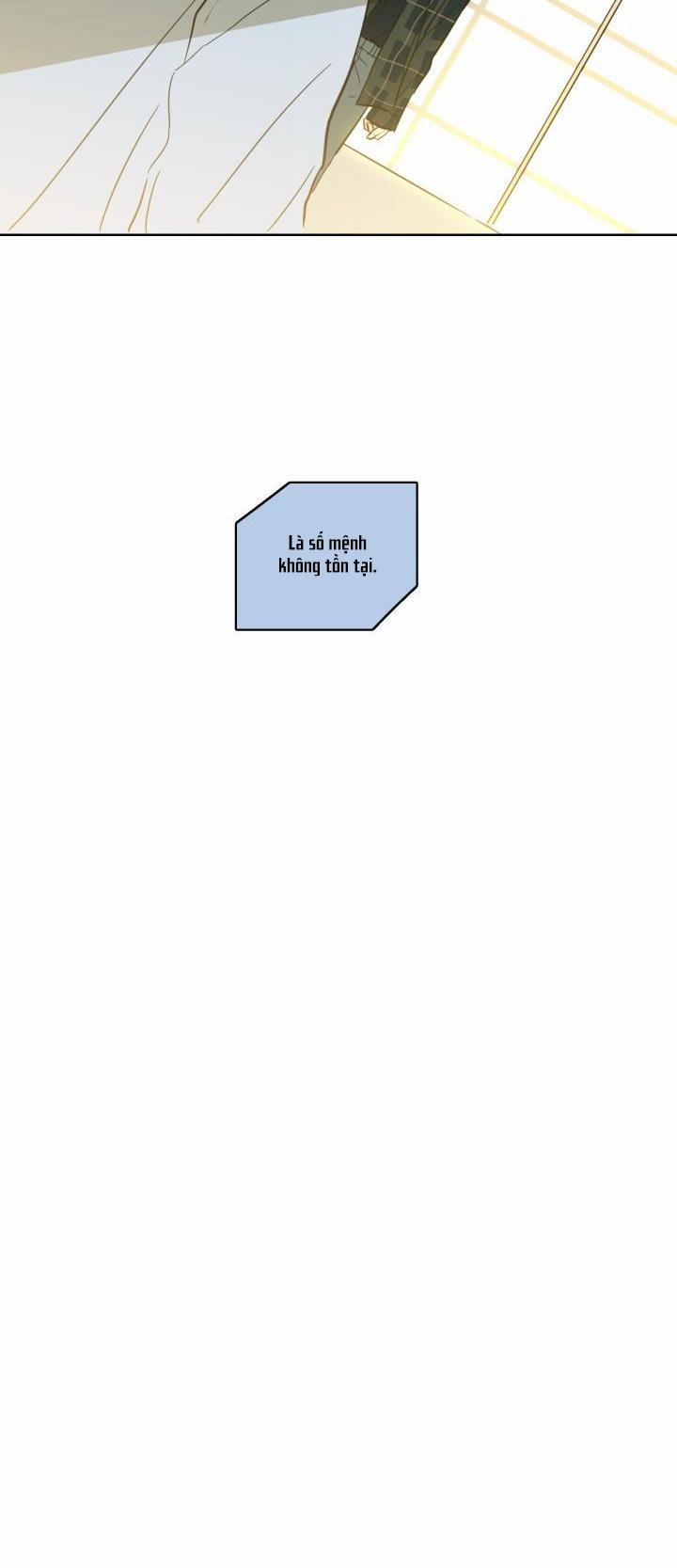 Mẹo Thuần Hóa Hổ 23 trang 11