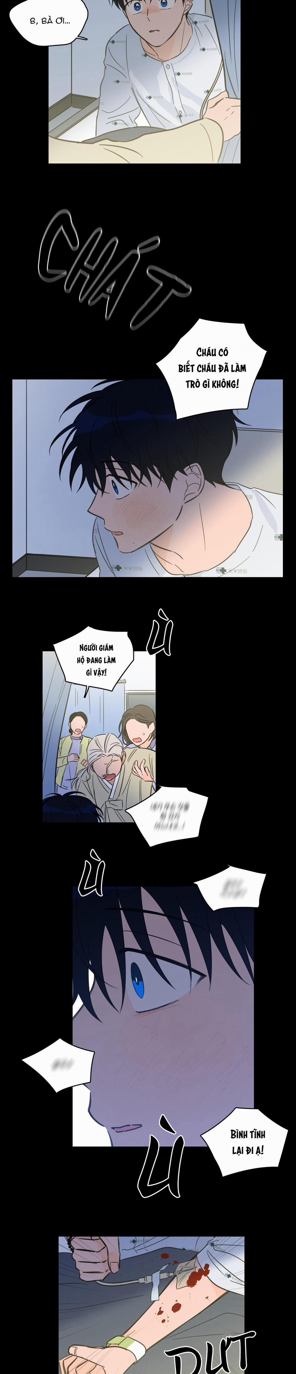 Mẹo Thuần Hóa Hổ 39 trang 13