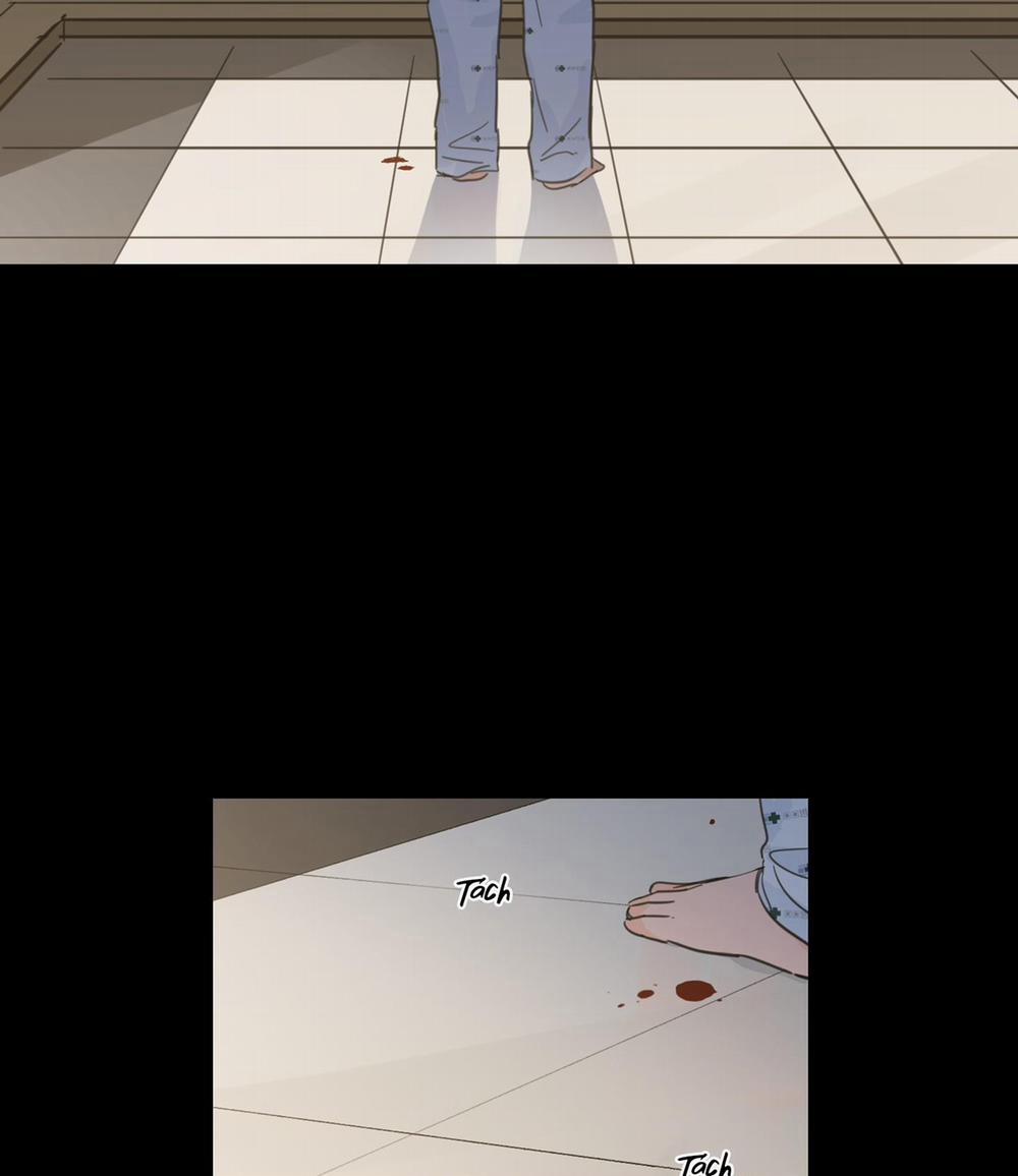 Mẹo Thuần Hóa Hổ 39 trang 15