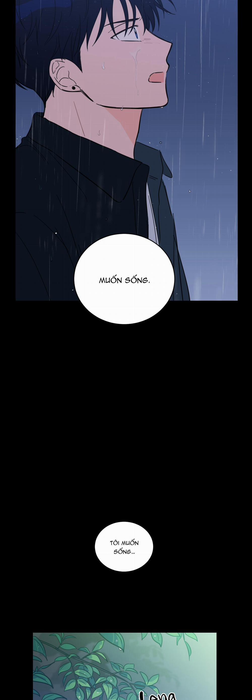 Mẹo Thuần Hóa Hổ 41 trang 17