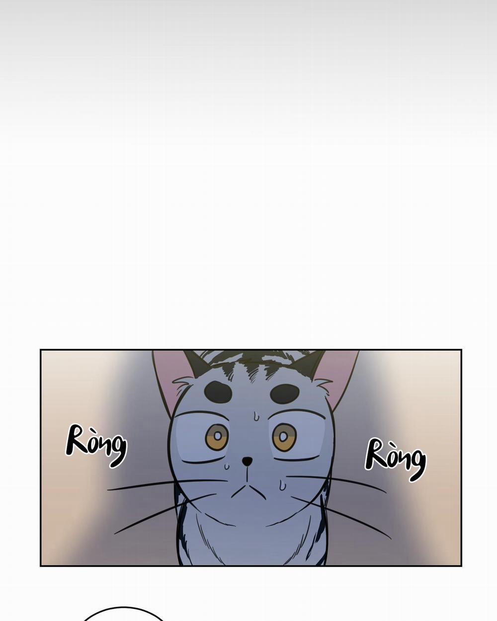 Mẹo Thuần Hóa Hổ 41 trang 27