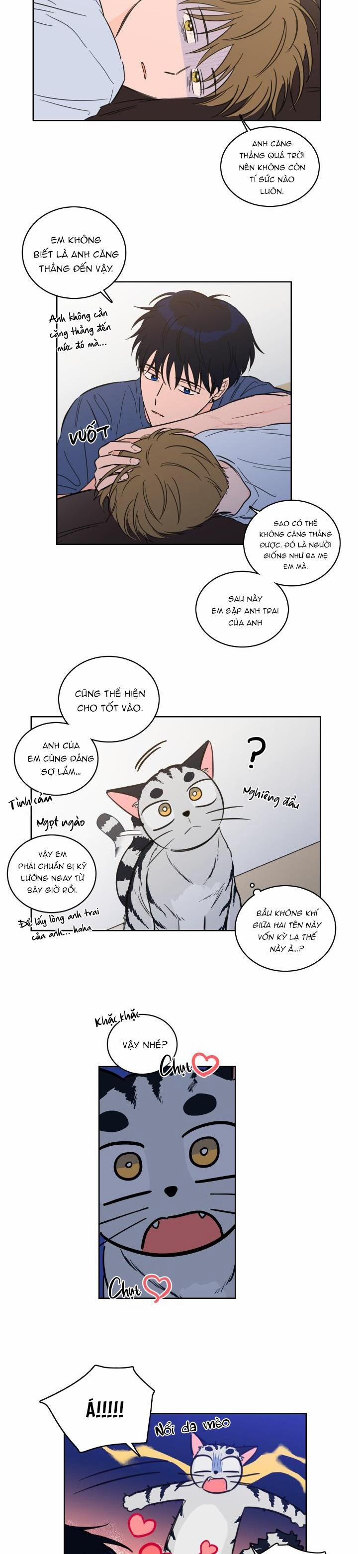 Mẹo Thuần Hóa Hổ 43 trang 2