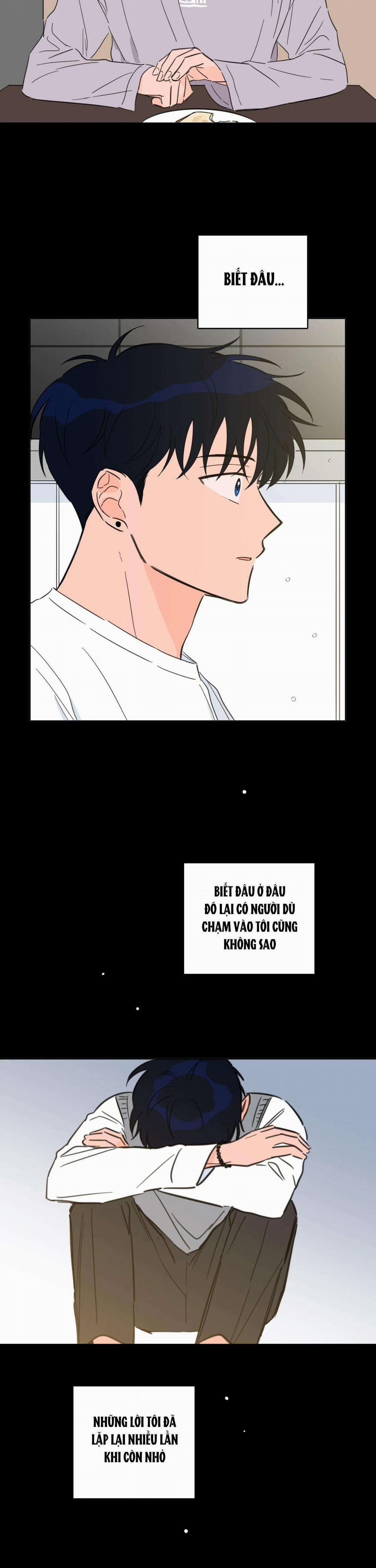 Mẹo Thuần Hóa Hổ 62 trang 13