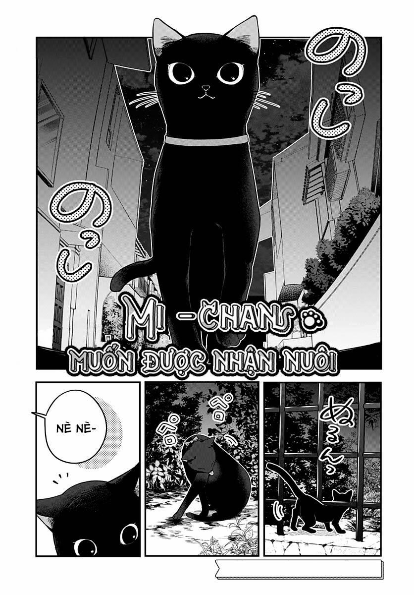Mi-Chan Wa Kawaretai 5 trang 1