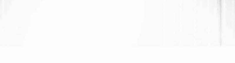 Mình Tao Là Siêu Việt Giả Mạnh Nhất! 14 trang 397