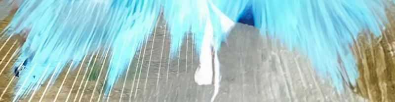 Mình Tao Là Siêu Việt Giả Mạnh Nhất! 14 trang 780