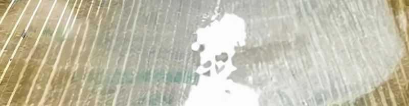 Mình Tao Là Siêu Việt Giả Mạnh Nhất! 14 trang 781