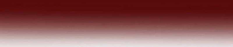 Mình Tao Là Siêu Việt Giả Mạnh Nhất! 15 trang 492