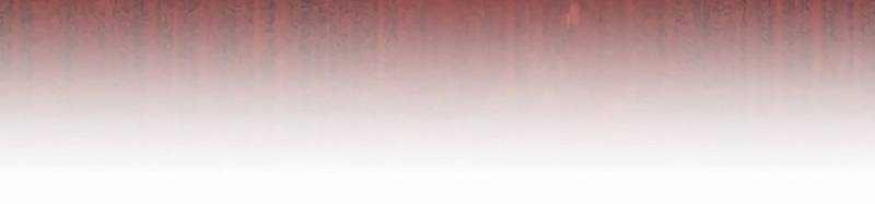 Mình Tao Là Siêu Việt Giả Mạnh Nhất! 15 trang 771