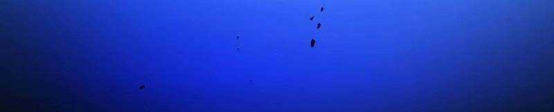 Mình Tao Là Siêu Việt Giả Mạnh Nhất! 15 trang 8