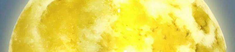 Mình Tao Là Siêu Việt Giả Mạnh Nhất! 15 trang 881