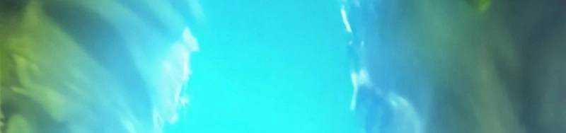 Mình Tao Là Siêu Việt Giả Mạnh Nhất! 15 trang 927