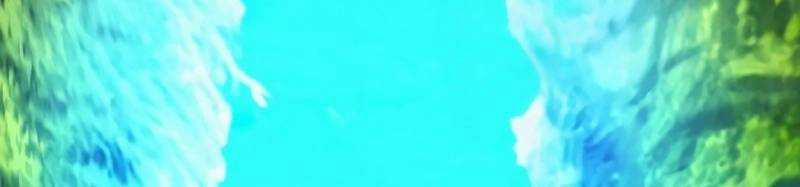 Mình Tao Là Siêu Việt Giả Mạnh Nhất! 15 trang 930