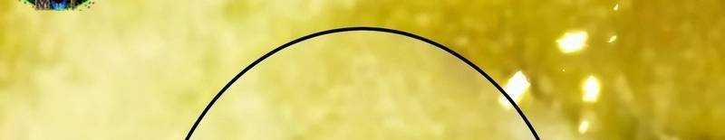 Mình Tao Là Siêu Việt Giả Mạnh Nhất! 15 trang 977