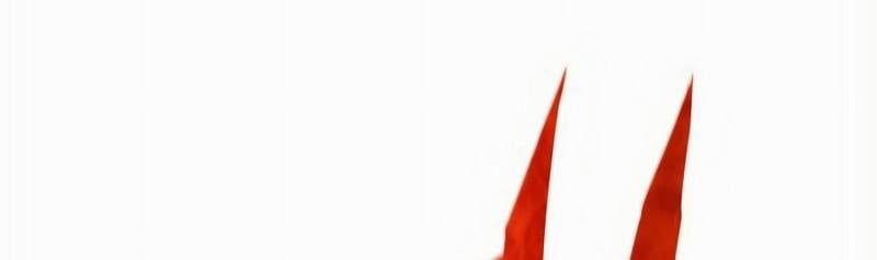 Mình Tao Là Siêu Việt Giả Mạnh Nhất! 16 trang 365