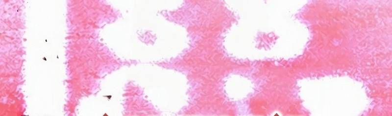 Mình Tao Là Siêu Việt Giả Mạnh Nhất! 16 trang 371