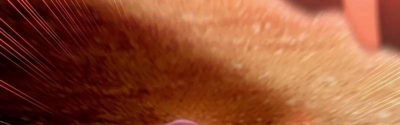 Mình Tao Là Siêu Việt Giả Mạnh Nhất! 16 trang 593