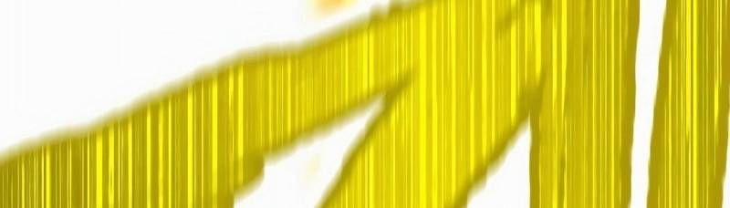 Mình Tao Là Siêu Việt Giả Mạnh Nhất! 16 trang 750