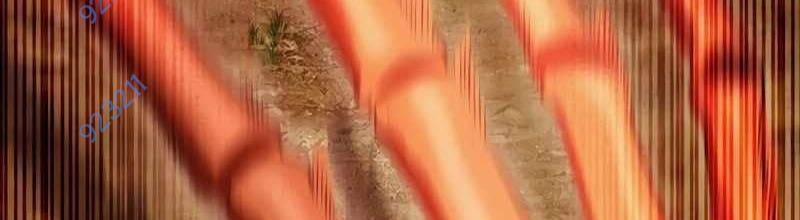 Mình Tao Là Siêu Việt Giả Mạnh Nhất! 17 trang 5